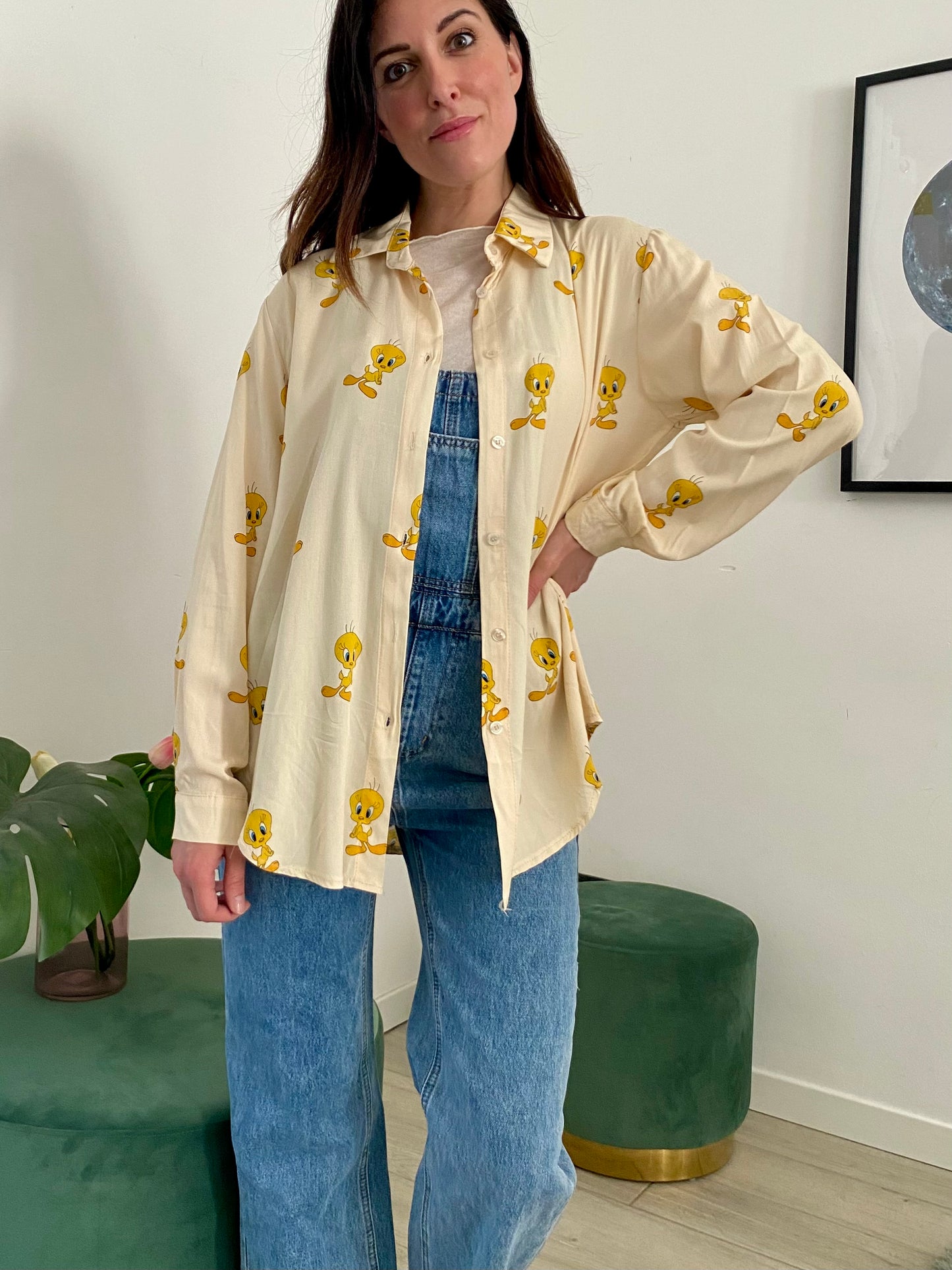 Camicia cartoni, Titti IF Collection